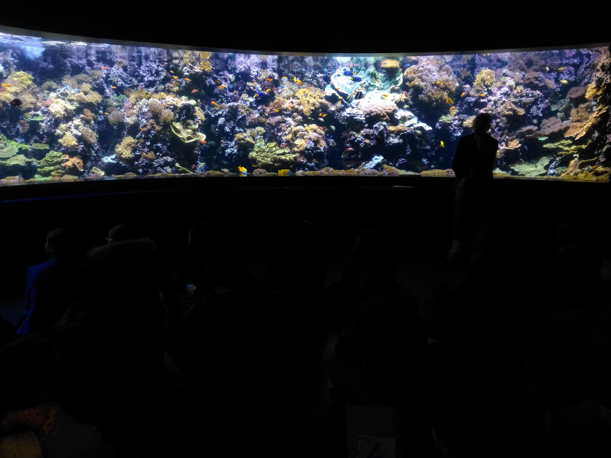 5e sortie oceanopolis fev23 visite pavillon tropical et ateliers scientifiques (1)