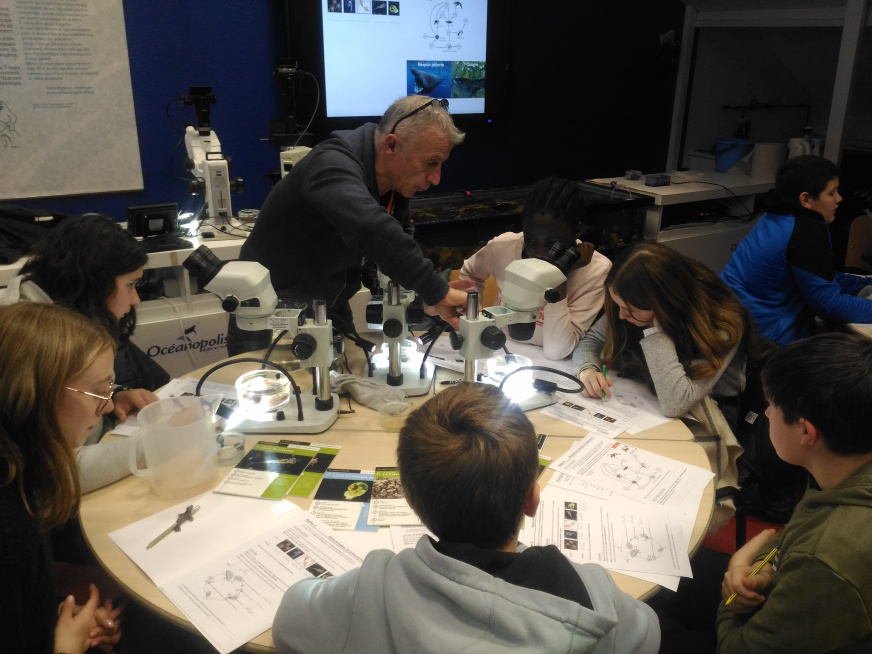 5e sortie oceanopolis fev23 visite pavillon tropical et ateliers scientifiques (4)